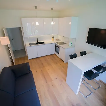 Apartment Malovanka *